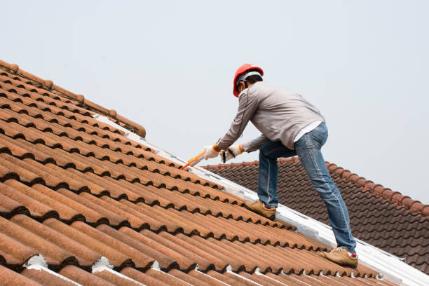 Best Commercial Roofing Services  in Elko New Market, MN